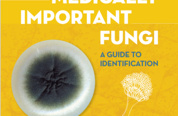 Larone's Medically Important Fungi: A Guide to Identification (ASM Books) Sixth eBook cover