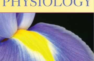 Introduction to Plant Physiology 4th Edition by Norman P. A. Hüner eBook cover